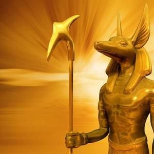 Meet your Posher, Demario